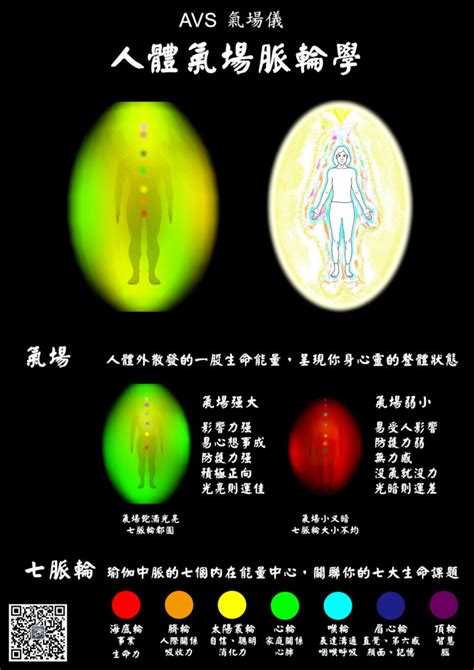 氣場儀原理|AVS氣場儀科研歷史 人體氣場脈輪學教學系列，AVS氣場儀